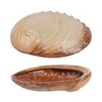 Салатник 365 мл 19 × 14,5 см h 5 см для закусок Pearl Ammonite Shell Frutti di Mare P.L. Proff Cuisine 2
