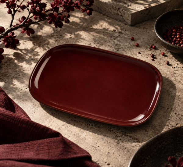Блюдо овальное 20×13 см h1,9 см для закусок Evolution Dark Red
