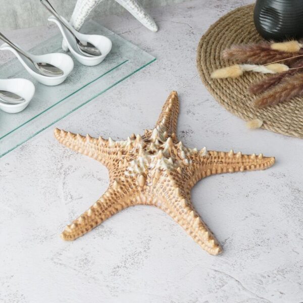 Блюдо для подачи 28 × 28 см h 6 см 100 мл для закусок Звезда Pearl Starfish Frutti di Mare P.L. Proff Cuisine
