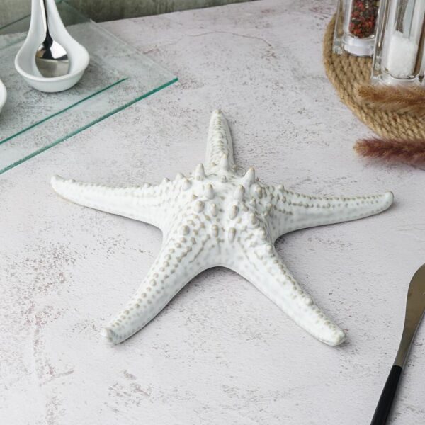 Блюдо для подачи 24 см h6 см для закусок Звезда Gray Starfish Frutti di Mare P.L.